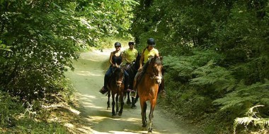 Excursions à cheval dans le Montseny