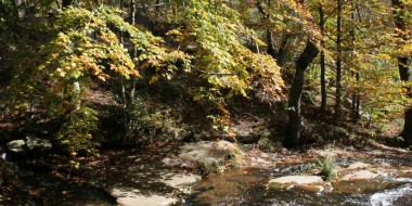Rutes de Senderisme